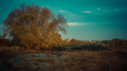 Guten Morgen frische Herbst-Sonne