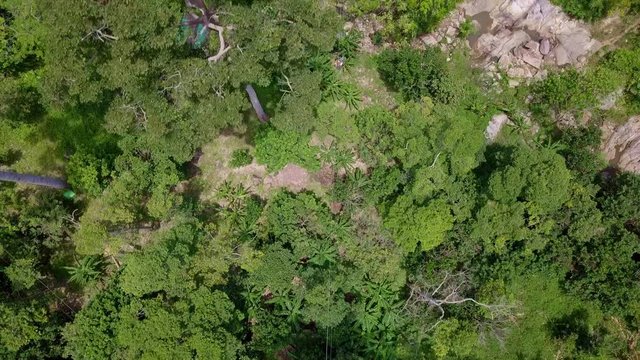Aerial View of Tourists Riding on Zipline or Canopy Rope. Adrenaline Adventure on Vacation