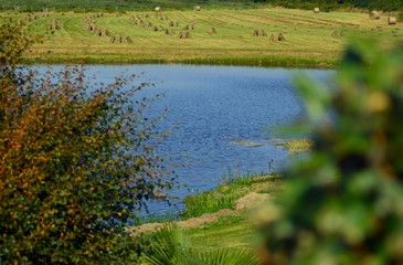 Étang  en Bretagne
