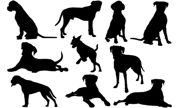 Free Boxer Dog Svg Free