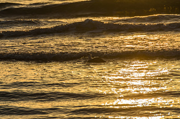 Warm yellow water of Black Sea at sunset