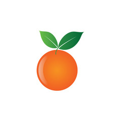 Illustration of orange fruit design design template