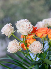 Bouquet of orange and white rose flowers close up,  green leafs