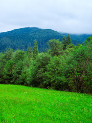 Fototapeta na wymiar Summer mountain landscapes. Green meadows. High hills.