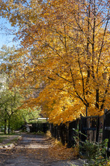 Naklejka premium UKRAINE, LUGANSK - October 2013: Autumn in the courtyard in the city of Luhansk