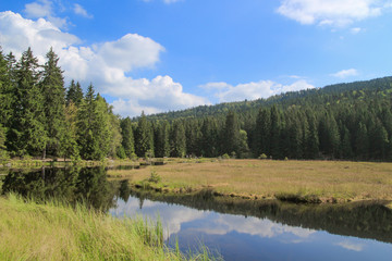 Fototapeta na wymiar Kleiner Arbersee, National Park Bayerischer Wald