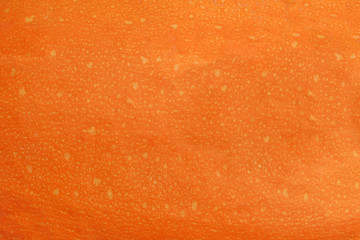 abstract orange background made of pumpkin skin - obrazy, fototapety, plakaty