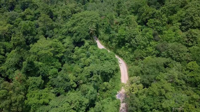 Aerial View of Tourists Riding on Zipline or Canopy Rope. Adrenaline Adventure on Vacation