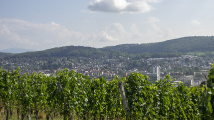 Vue sur la ville de Lörrach en Allemagne du sud depuis les collines de Tullingen.