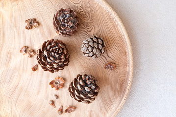 Opened ripe pine cones with nuts on wooden tray.