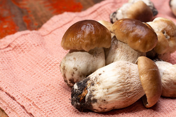 Fresh raw whole white boletus tasty edible mushrooms close up