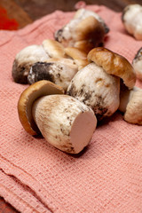 Fresh raw whole white boletus tasty edible mushrooms close up