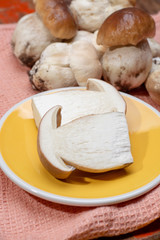 Fresh raw whole white boletus tasty edible mushrooms close up