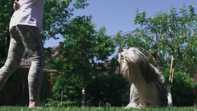 Girl plays with her dog at the yard