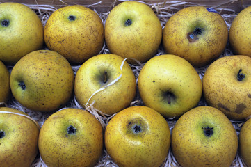 Apples at the greengrocer