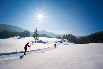 Sport activity in winter wonderland