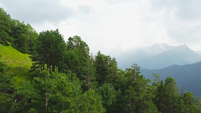 Beautiful green mountain landscape with trees. Top view of forest on mountain in highlands