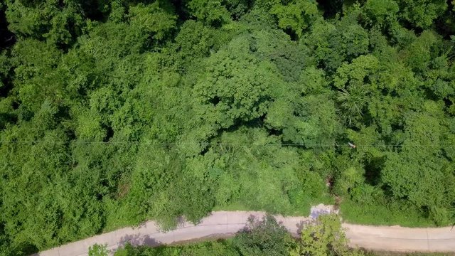 Aerial View of Tourists Riding on Zipline or Canopy Rope. Adrenaline Adventure on Vacation