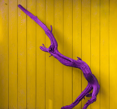 abstract violet dry tree on a yellow background