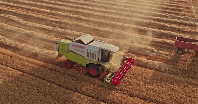 Aerial shot of a combine harvester in action on wheat field.