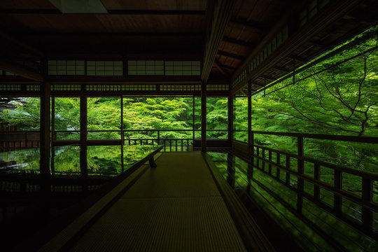 526 Best 瑠璃光院 Images Stock Photos Vectors Adobe Stock