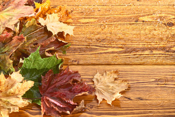 Naklejka na ściany i meble autumn leaves on a table in the rain