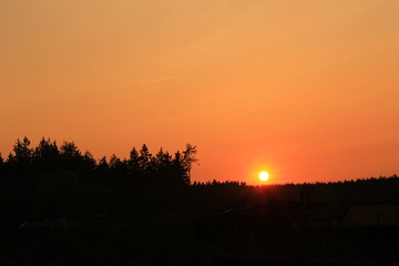 Obraz premium Sunset over the forest