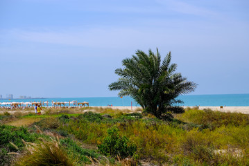 Fototapeta na wymiar Saadiyat Public Beach Saadiyat Island, Abu Dhabi, UAE