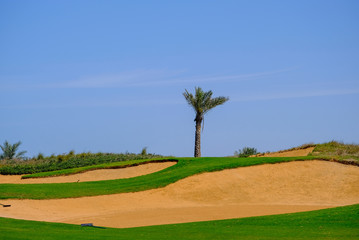 Golf Course at Saadiyat Island, Abu Dhabi, UAE