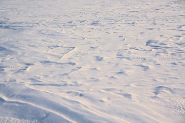 Snowy surface of the plain. Kostroma, Russia.