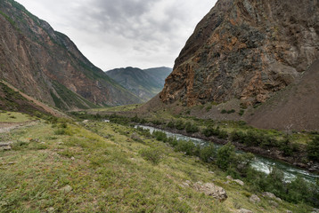 Nature of Altai mountains