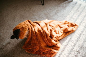 Adorable Baby Boy Playing in the Living Room 