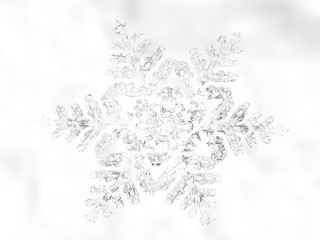 Winter Christmas Snowflake Background