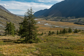Nature of Altai mountains