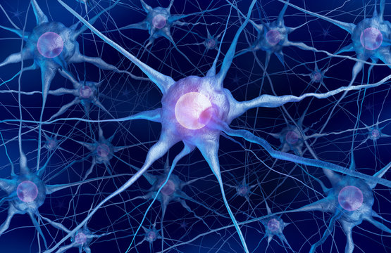 Neuron Scientific Concept