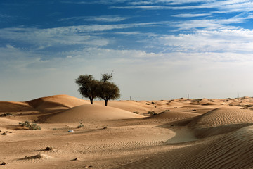 Fototapeta na wymiar Scenic View of Sharjah Desert