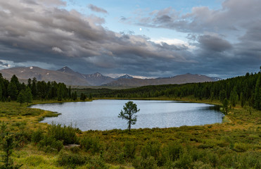 Nature of Altai mountains