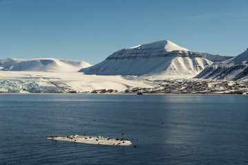 Glacier Nordenskiöldbreen, Pyramiden, archipel du Spitzberg, Svalbard
