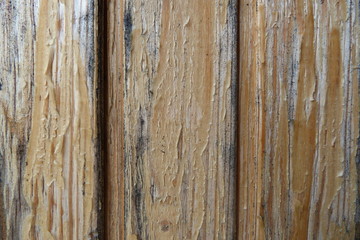old wooden boards close-up gray wood part of the wall