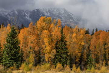Grand Teton National Park Autumn Landscape