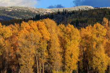 Grand Teton National Park Autumn Landscape