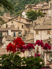 Rooftops of Scanno (Italy) with Gerani blurred