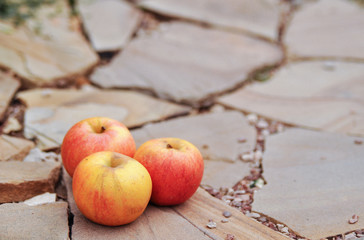 Ripe red apples on a stone background. The harvest in the fall.