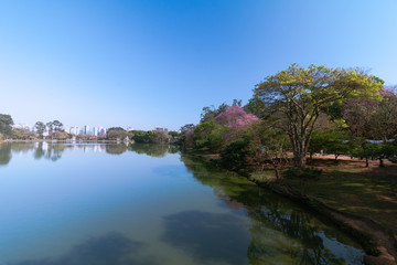 Fototapeta na wymiar The Ibirapuera Lake and trees