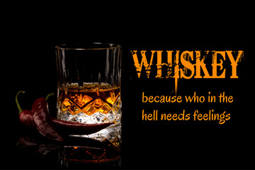 Whiskey Meme, because who in the hell needs feelings, funny memes and sayings