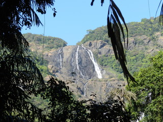 The view of the Dudhsagar waterfall in Goa
