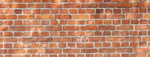 Fototapeta premium Backsteinmauer 1