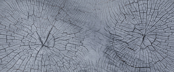 black cross-section of a tree, black stump texture