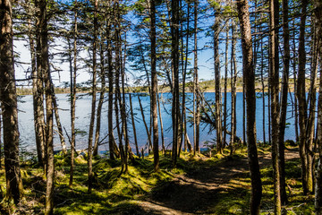 Berryhill Pond through the trees, Gros Morne National Park, Newfoundland, Canada