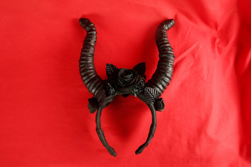 horns as a decoration on the head